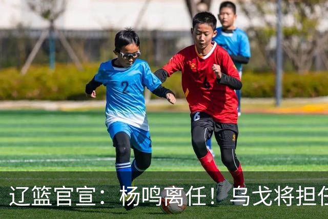 辽篮官宣：杨鸣离任！乌戈将担任辽宁男篮主帅